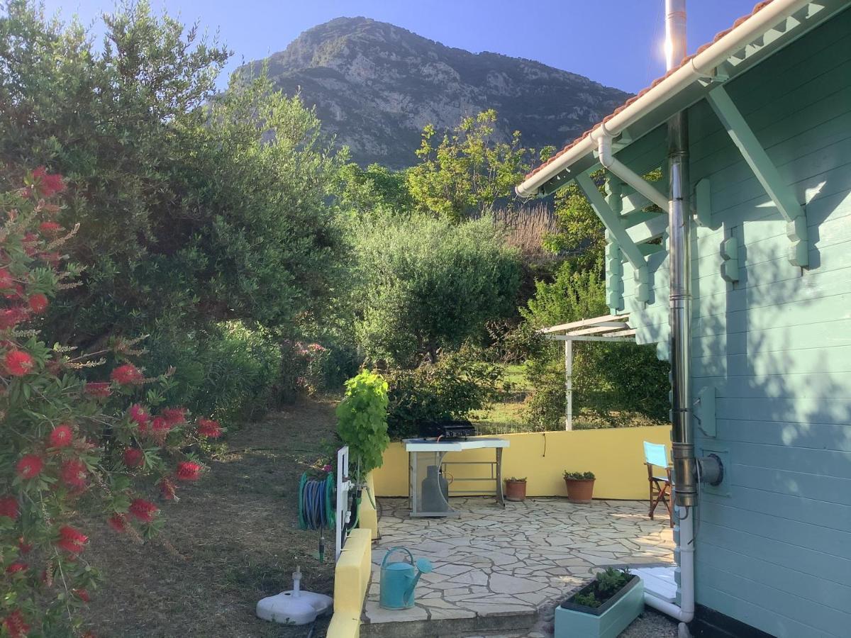 The Cabin, Кипарисия
